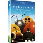 Achetez les DVD des saisons de Minuscule en cliquant ici !